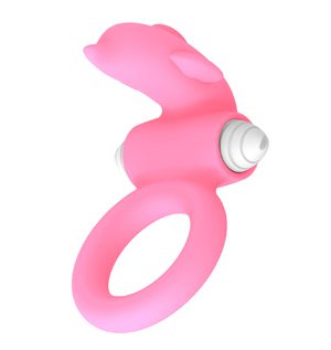 Locking Collar Cock Ring