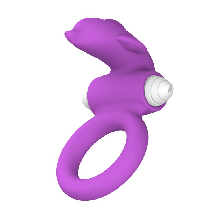 Locking Collar Cock Ring