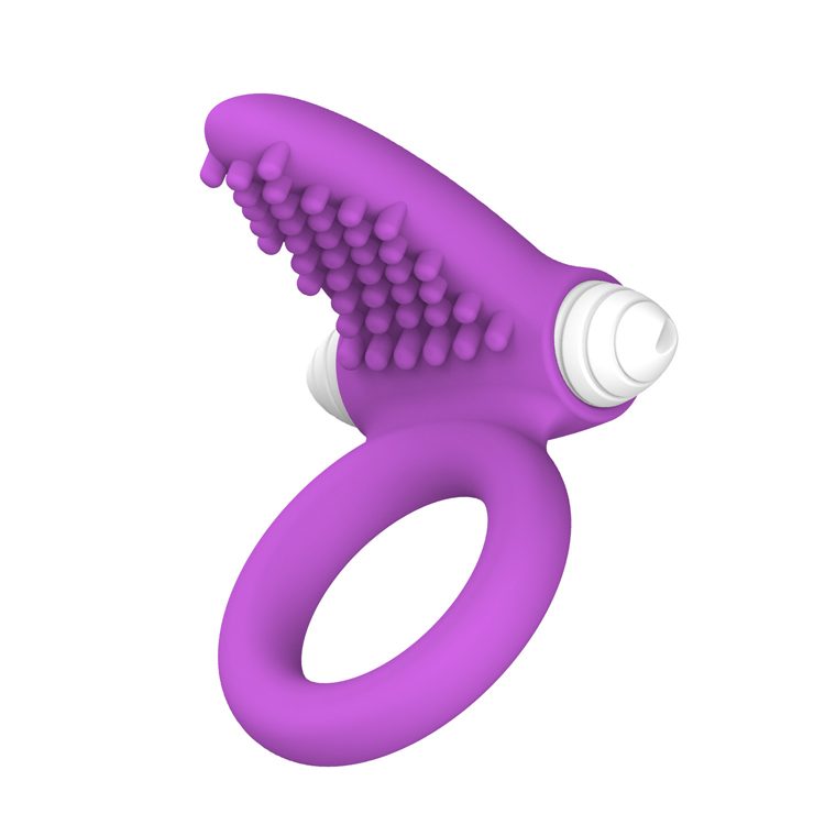 Locking Collar Cock Ring