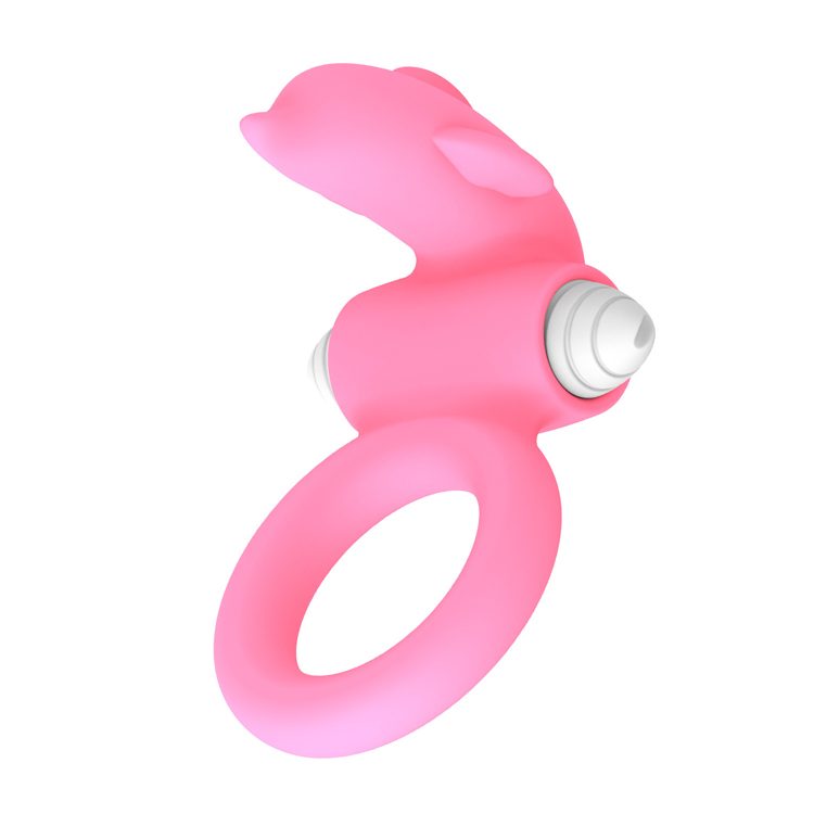 Locking Collar Cock Ring