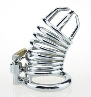 Chastity Locking Cock Ring Cage