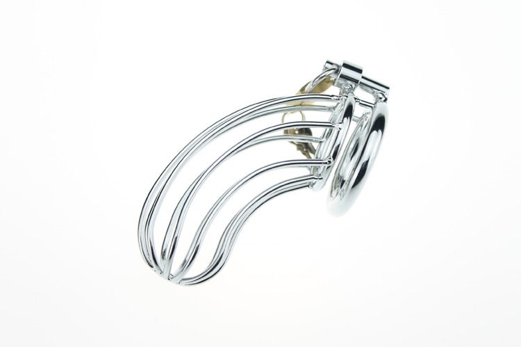 Chastity Locking Cock Ring
