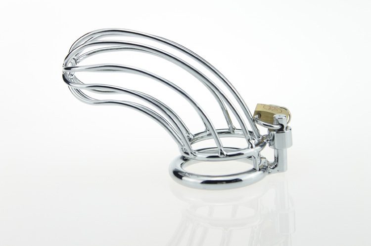 Chastity Locking Cock Ring