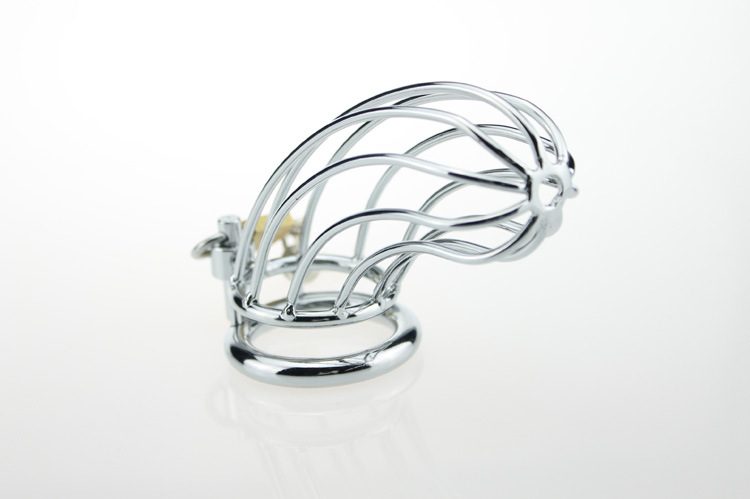 Chastity Locking Cock Ring