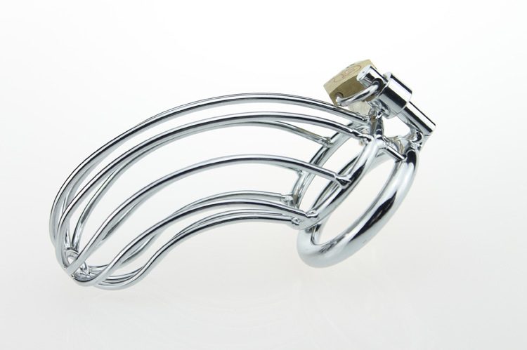 Chastity Locking Cock Ring