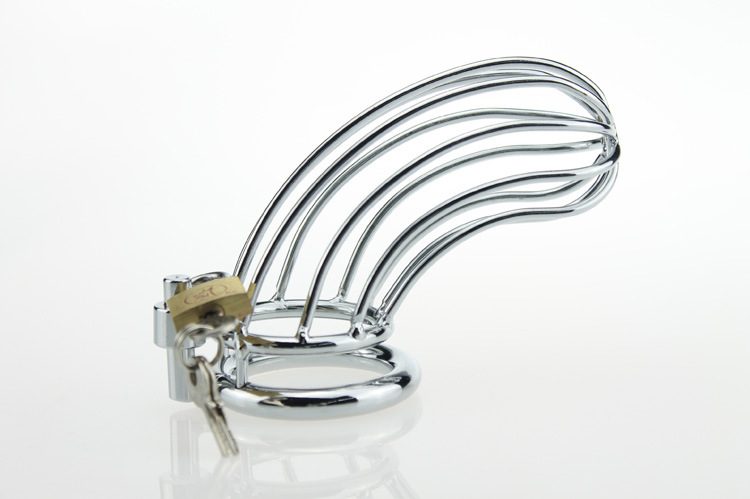 Chastity Locking Cock Ring