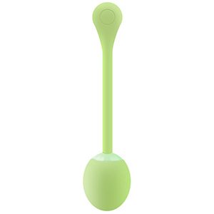 Remote Control Vibrating Egg in Silicone + ABS