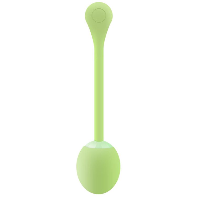 Remote Control Vibrating Egg in Silicone + ABS