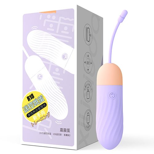 Rechargeable Remote Control Vibrating Egg
