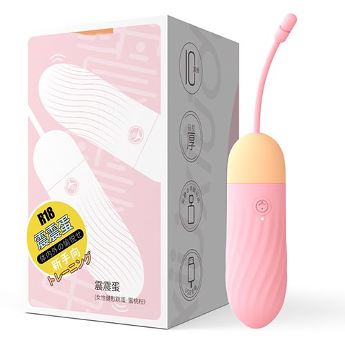 Rechargeable Remote Control Vibrating Egg