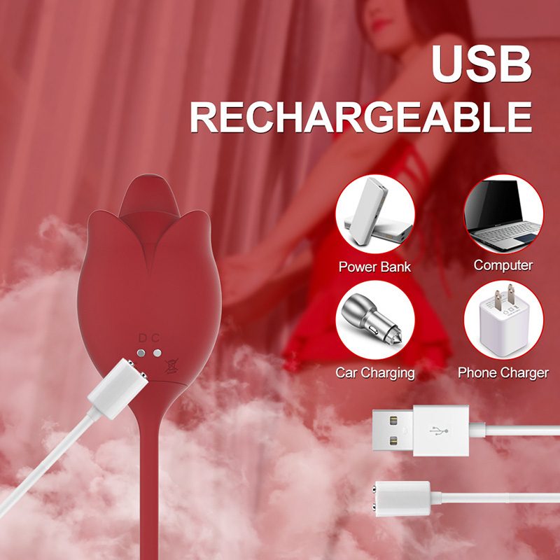 Rechargeable Telescopic Vibrating Egg Vibration