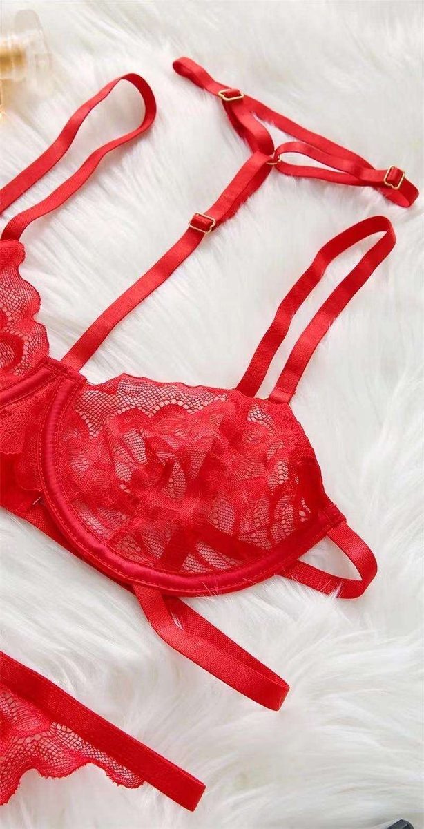 Underwear Bra Lingerie Set in Lace
