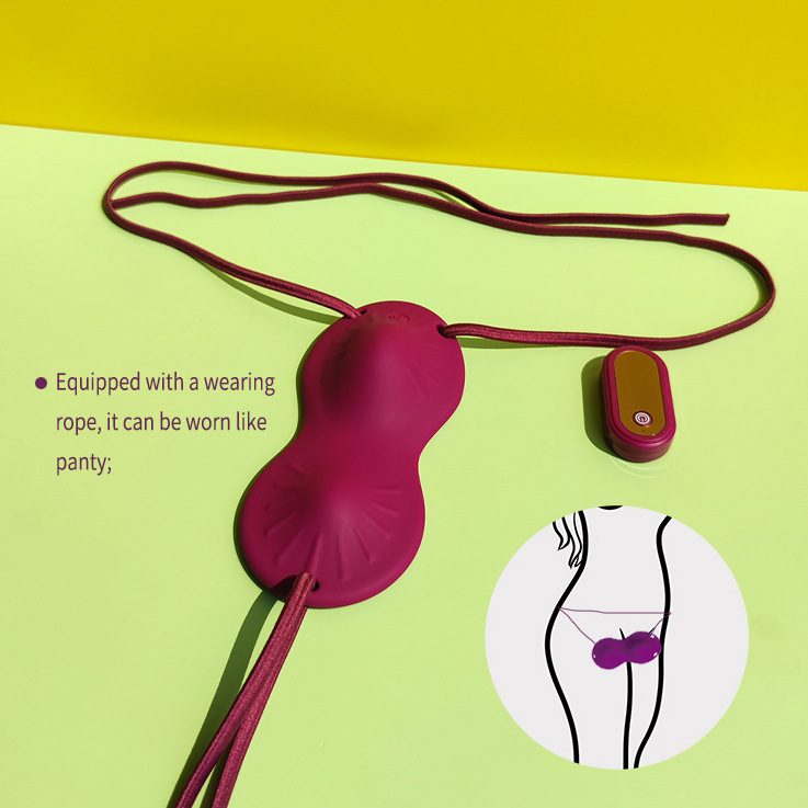 Remote Control Vibrating Egg – Red or purple