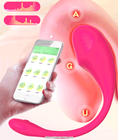Remote Control Vibrating Egg Vibrator