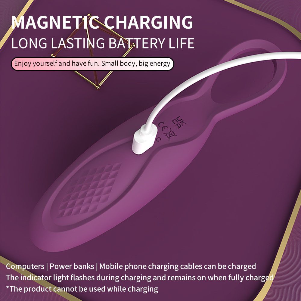 Vibrating Egg Vibrator