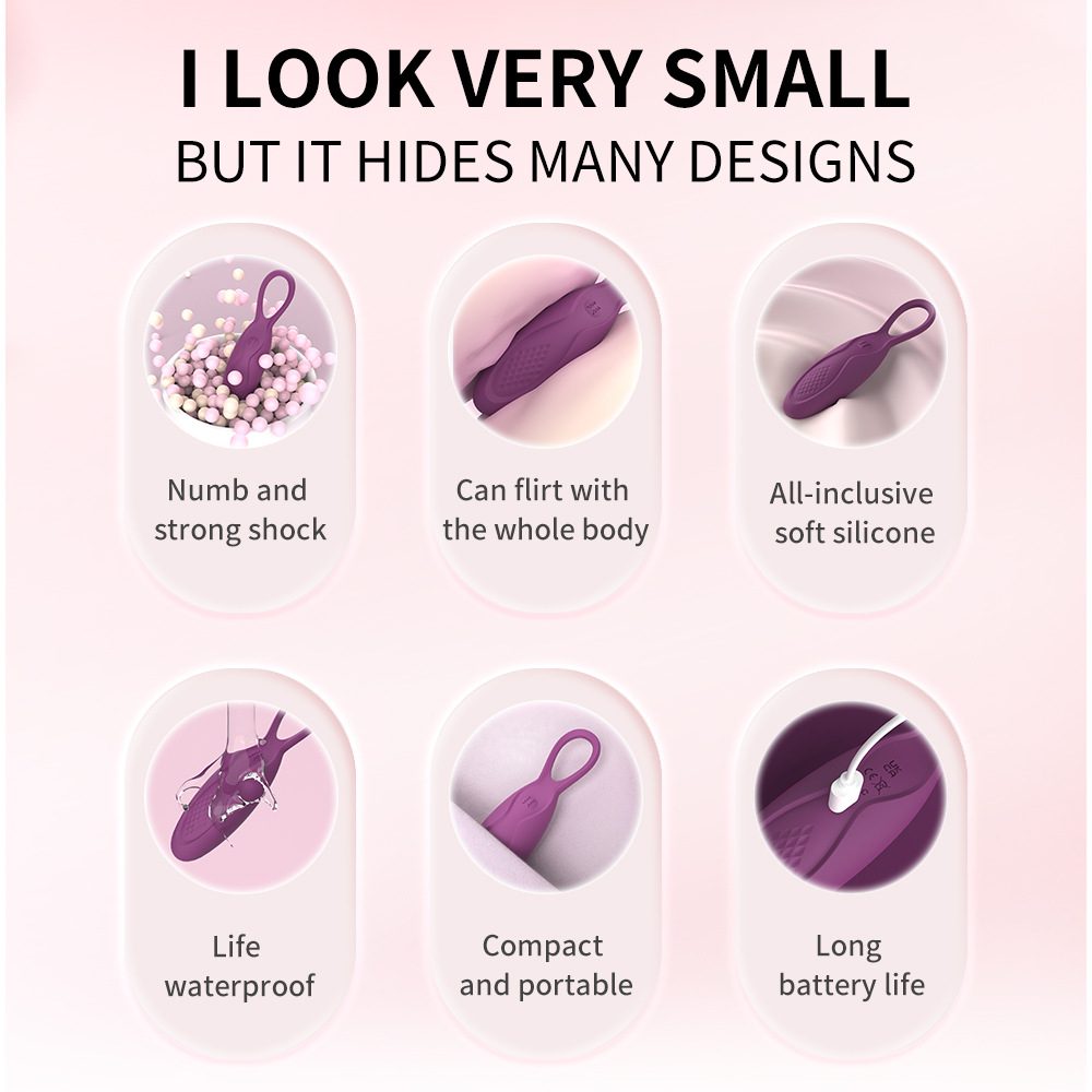 Vibrating Egg Vibrator