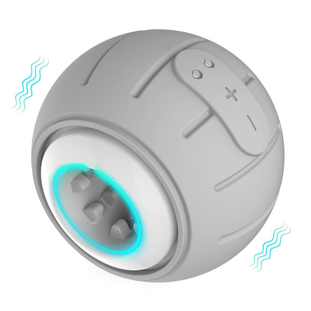 Penis Pump – Gray