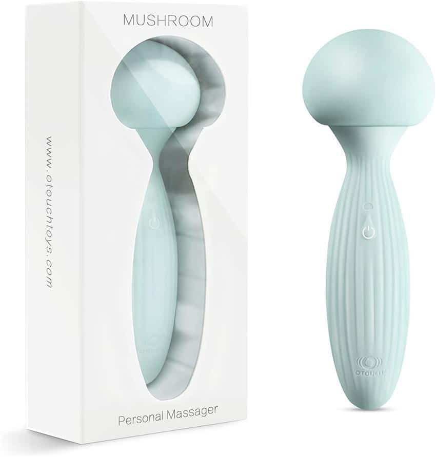 Wand Vibrator
