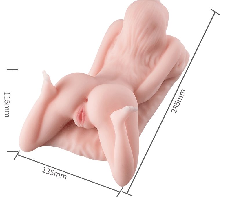 Sex Doll Torso