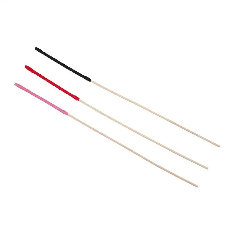 Cane BDSM