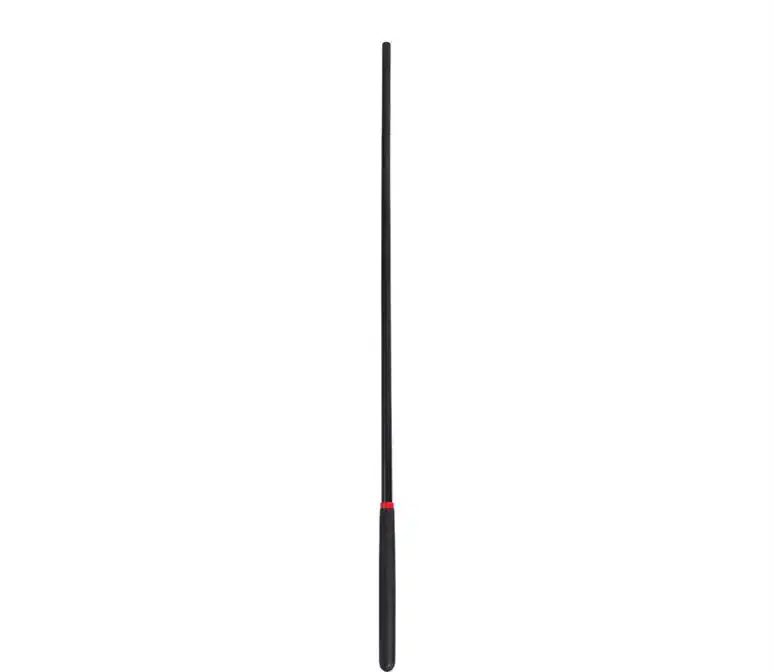 Cane BDSM