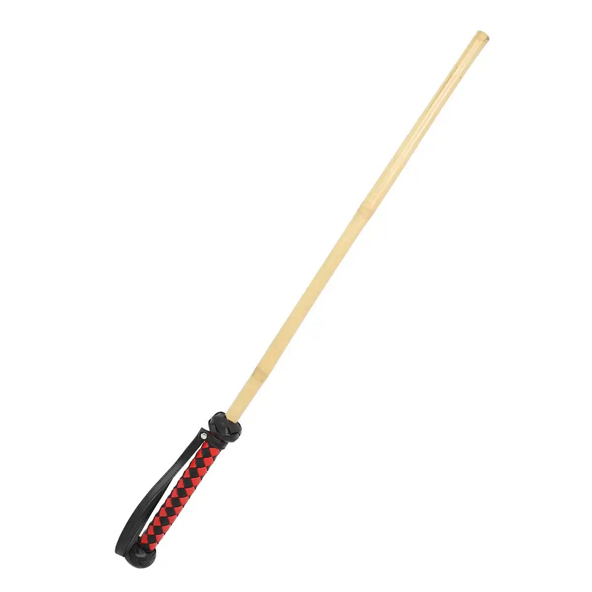 Cane BDSM
