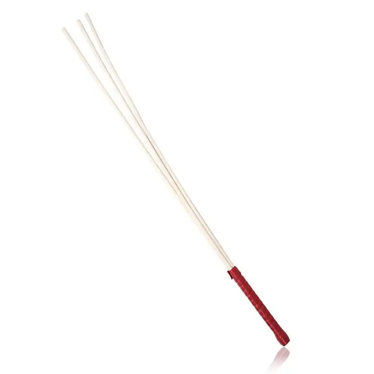 Cane BDSM
