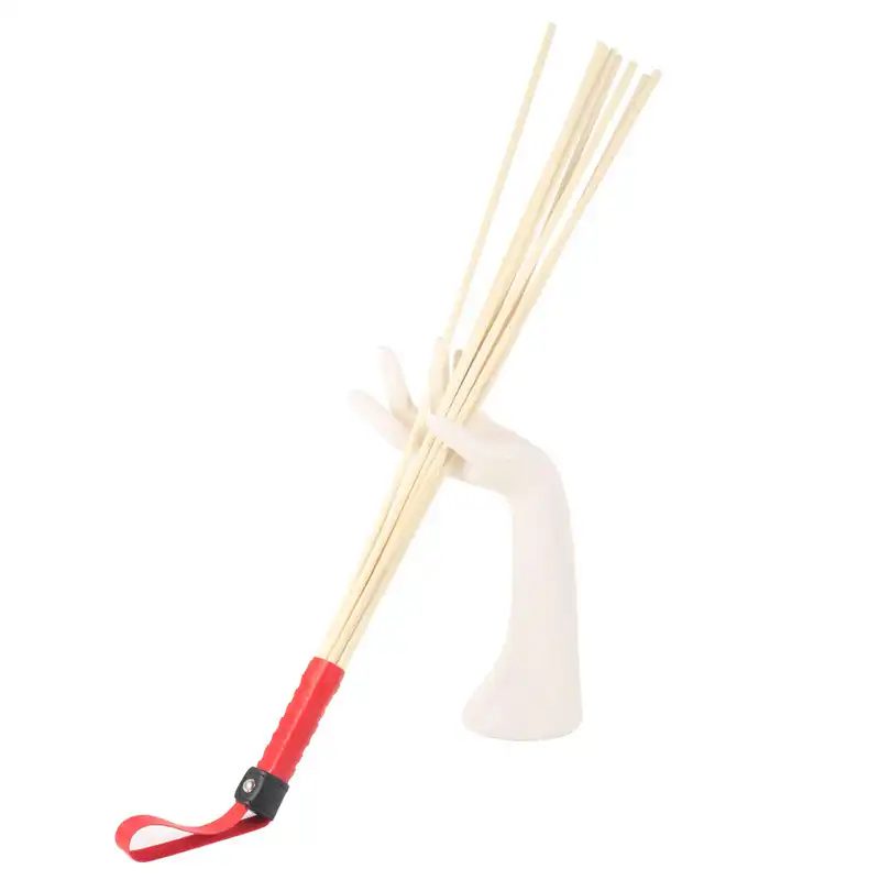 Cane BDSM
