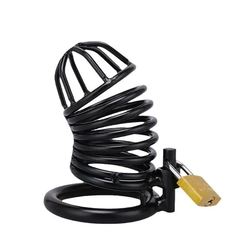 Chastity Lock