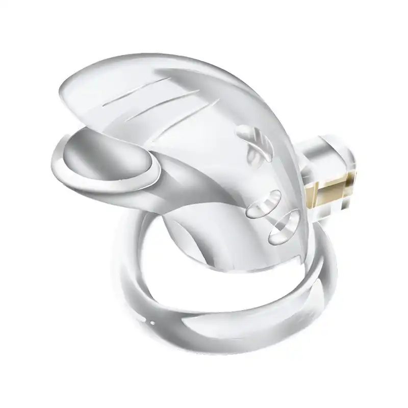 Chastity Lock