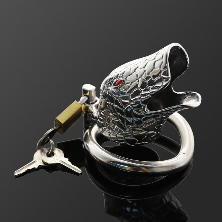 Chastity Lock
