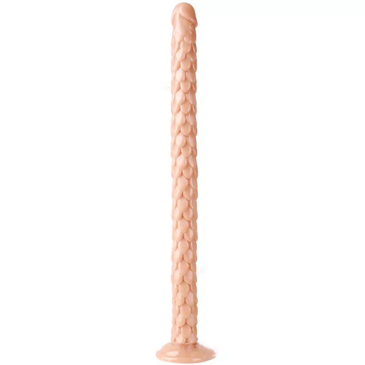 Long Dildos and Thick Dildos